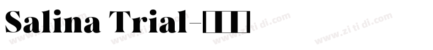 Salina Trial字体转换